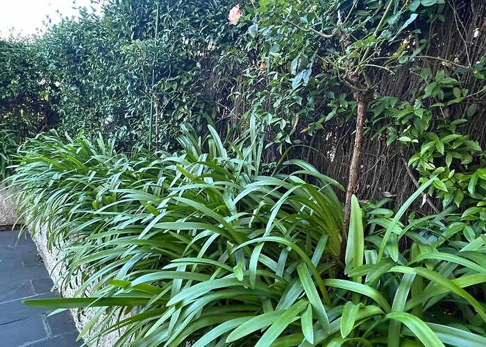 Mar Y Playa Con Jardin